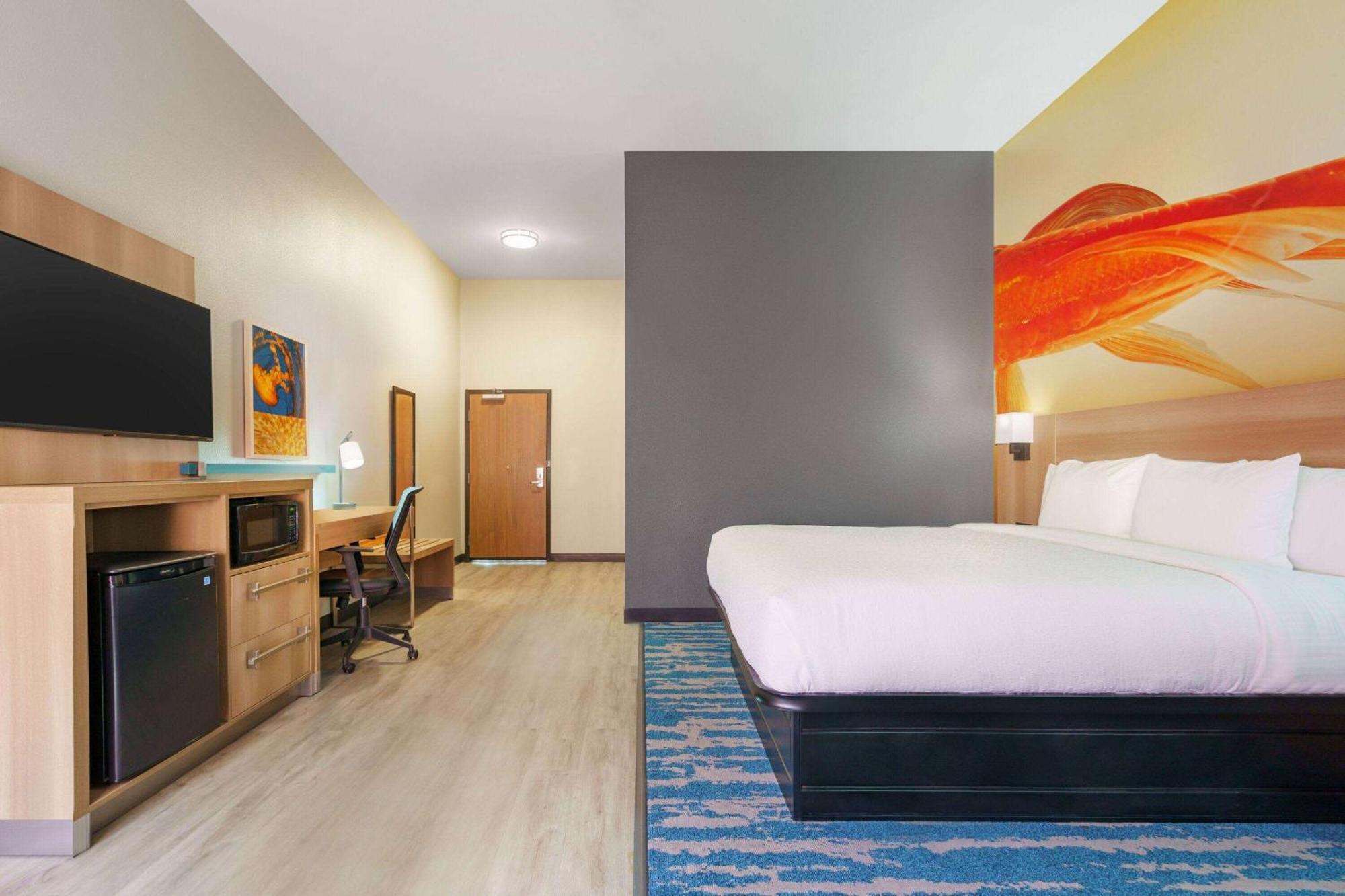 La Quinta Inn & Suites By Wyndham San Antonio Seaworld Lafb Экстерьер фото